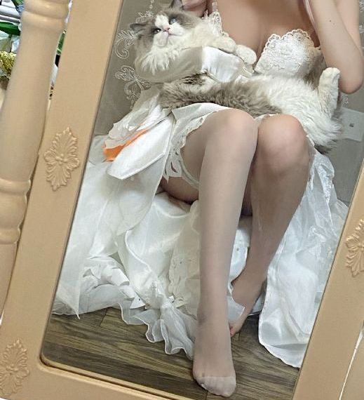 91影视免费版_BDHD在线观看
